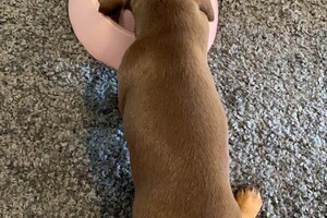 Fien - Kaat- Noor - Cato nest