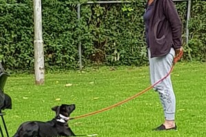 Ava Kira: Flynn, helpt mee op hondenschool 