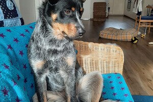 Soran Bart: woonkamer 