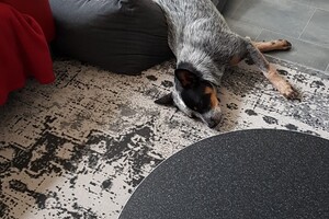 Ava Kira en Flynn: woonkamer 