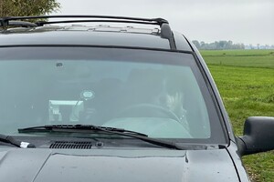 Abby Lavie: Ik rij wel 