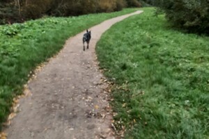 Soran Bart: Kerkploder gebied