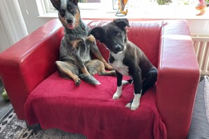 Ava Kira:  1 jaar oud