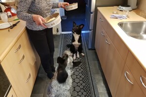 (3 augustus) Ava Kira: ik ben loops