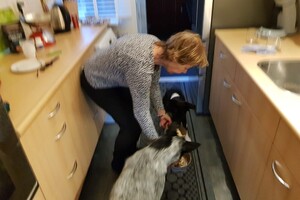 (3 augustus) Ava Kira: ik ben loops