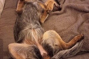 (3 augustus) Ava Kira: ik ben loops