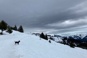 Ellis Coco in Frankrijk