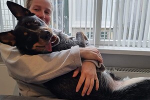 Soran Bart: knuffelen