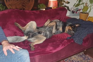 Ezran Dundee: op de bank