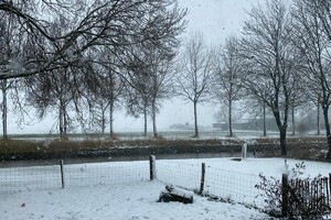 Abby Lavie: Winterlandschap