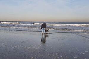 Soran Bart: geslaagd gehoorzaamheid 1