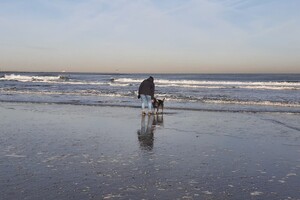 Soran Bart: EG Curcus