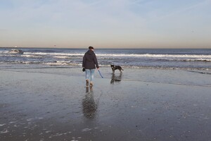 Soran Bart: EG Curcus