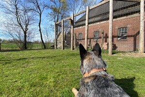 Abby Lavie: mijn boerderij