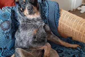 Soran Bart: genieten van het mooie weer