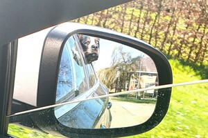 Ezran Dundee: auto rit