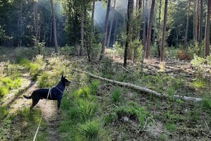 Soran Bart: het is warm weer