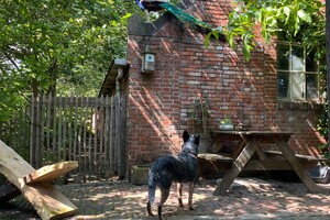 Abby Lavie: schaduw opzoeken 