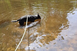 Soran Bart: praktijk speuren 