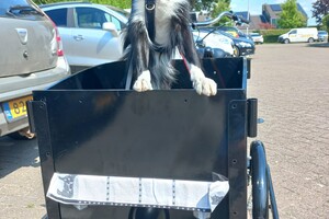 Ava kira en Flynn: eerste keer bakfiets