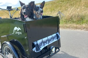 Ava Kira en Flynn: genieten