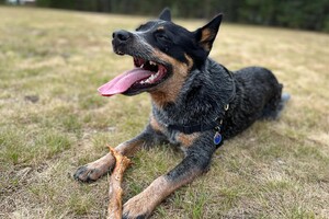 Ellis Coco: ik ben in Noorwegen 