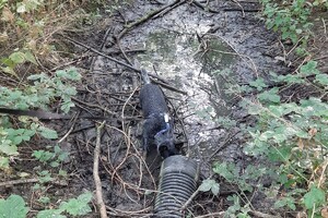 Soran Bart: ochtend wandeling 