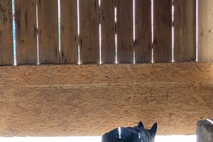 Vrijdag 12 augustus 2022