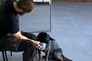 Silver, Vida, Izzy: detectie les