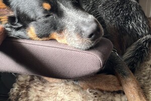 Ellis Coco: drie weken Noorwegen 