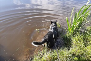 Soran Bart: in het water