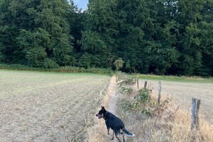 Ellis Coco: in het water