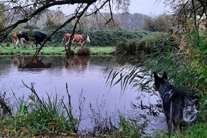 Soran Bart: wandelen