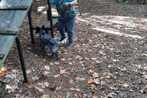 Rasweekend vakantie! Agility toestel