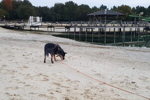 Rasweekend vakantie! Yada