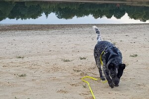 Rasweekend vakantie! Silver