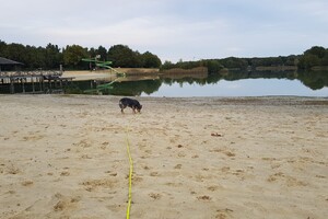 Rasweekend vakantie! Dakota