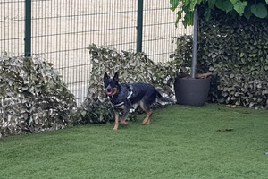 Rasweekend vakantie! Vida