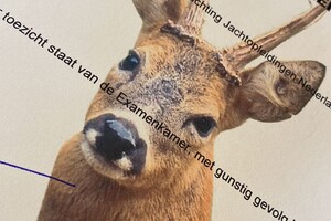 Abby Lavie: Mijn boerderij: kennis en beheer van reeën 