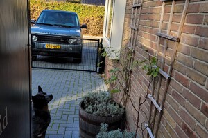 Ezran Dundee: muizen jacht 