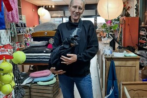 Een volle zus van Cato