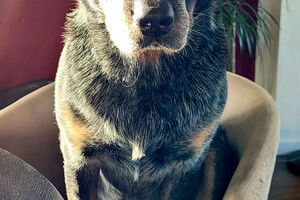 Ezran Dundee: zondagmiddag 