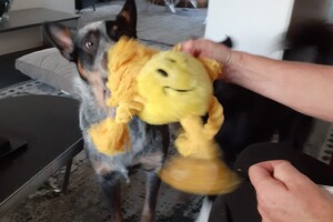 Ava Kira: ik ben jarig 