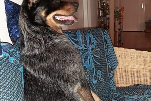 Soran Bart: ik ben jarig