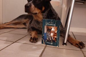 Soran Bart: kerstkaart ontvangen 