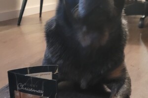 Ezran Dundee: kerstkaart is binnen