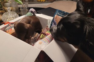 Ezran Dundee: kerstpakket uitpakken