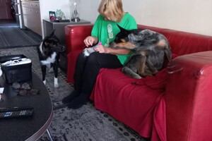 Ava Kira: kerstman maken