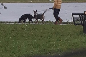 Ava Kira: Lekker uitwaaien