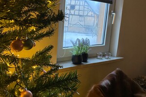 Abby Lavie: kerst in Duitsland 